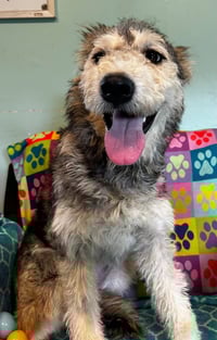 Kera Mar 26 - Photo 4