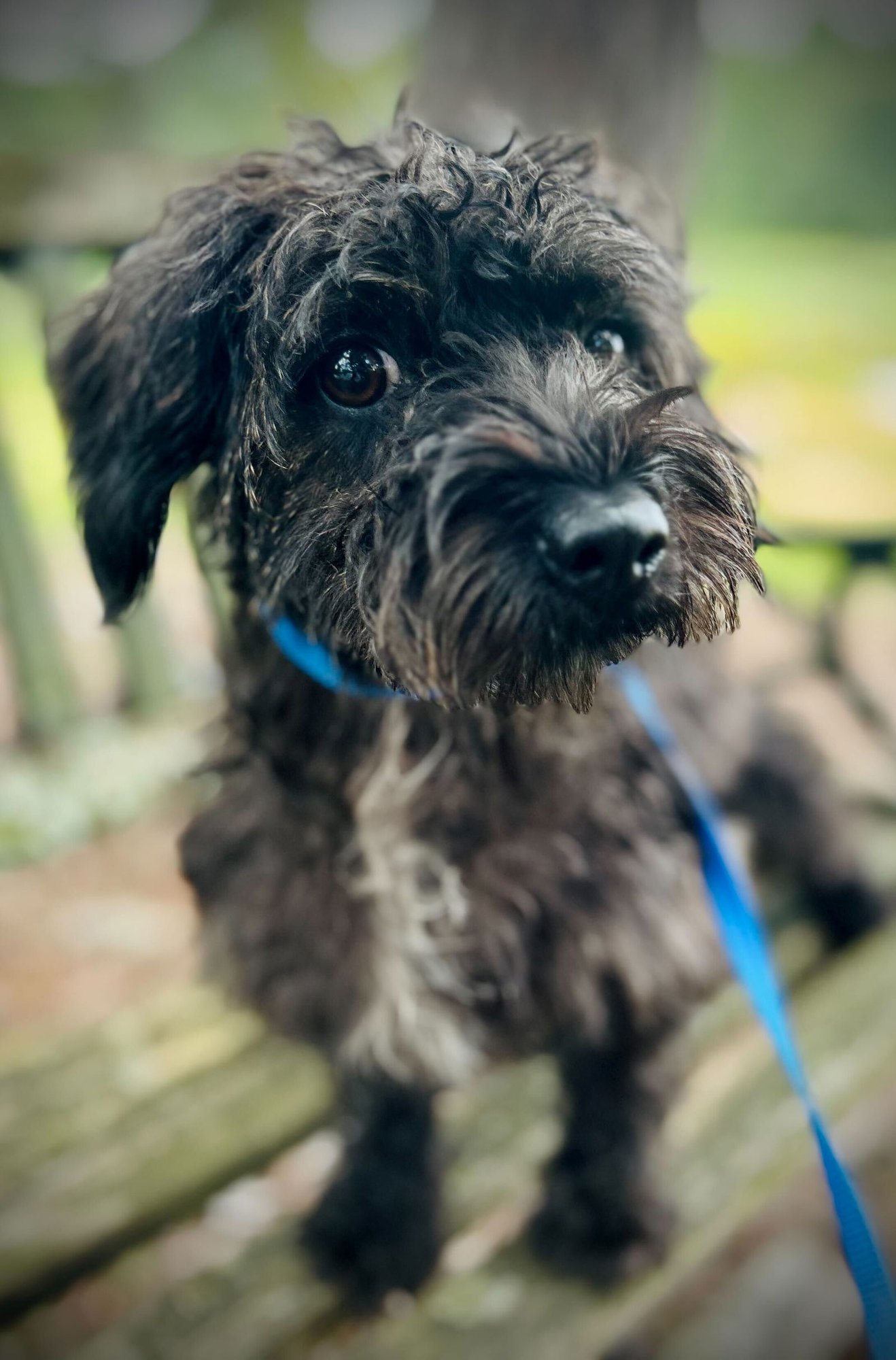 Blossom Apr 25 - Photo 3