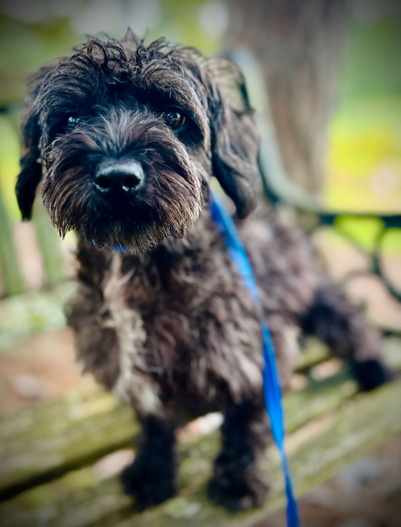 Blossom Apr 25 - Photo 4