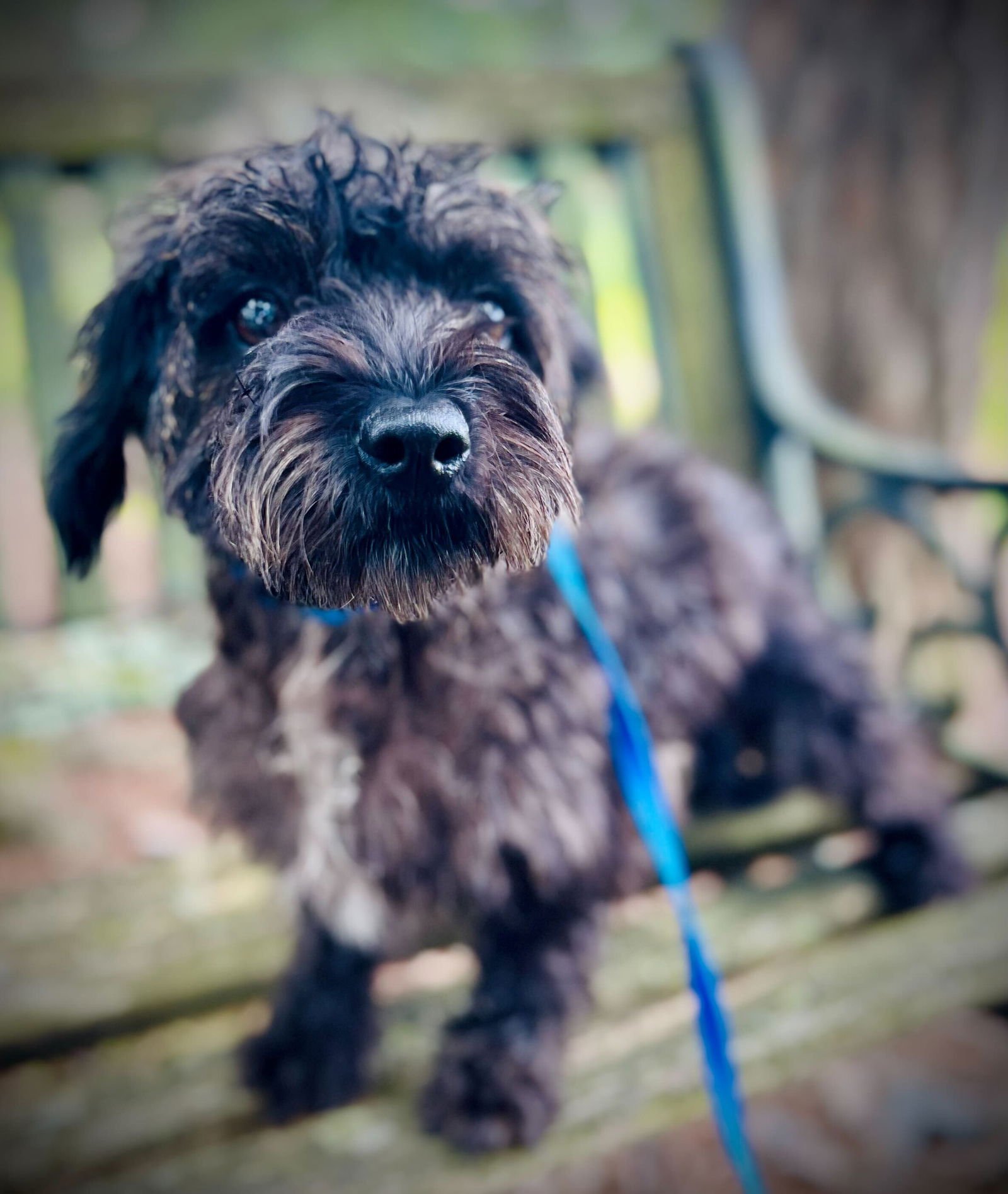 Blossom Apr 25 - Photo 5