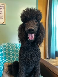 Wyatt Feb 26 - Photo 1