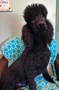 Wyatt Feb 26 - Photo 2