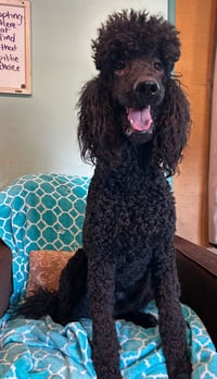 Wyatt Feb 26 - Photo 3