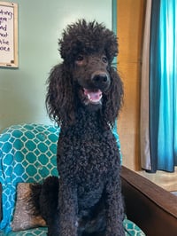 Wyatt Feb 26 - Photo 5