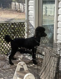 Wyatt Feb 26 - Photo 9