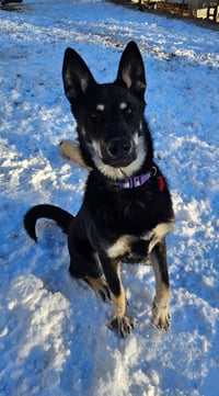 Frida - Photo 3