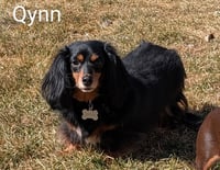 Qynn - Photo 1
