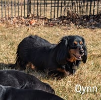 Qynn - Photo 4