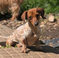 Splash - Photo 4