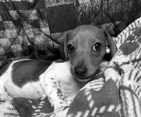 Fred - Photo 5