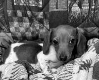 Fred - Photo 7