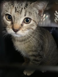 Emmi - Photo 3
