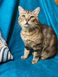 Gimli - Photo 3