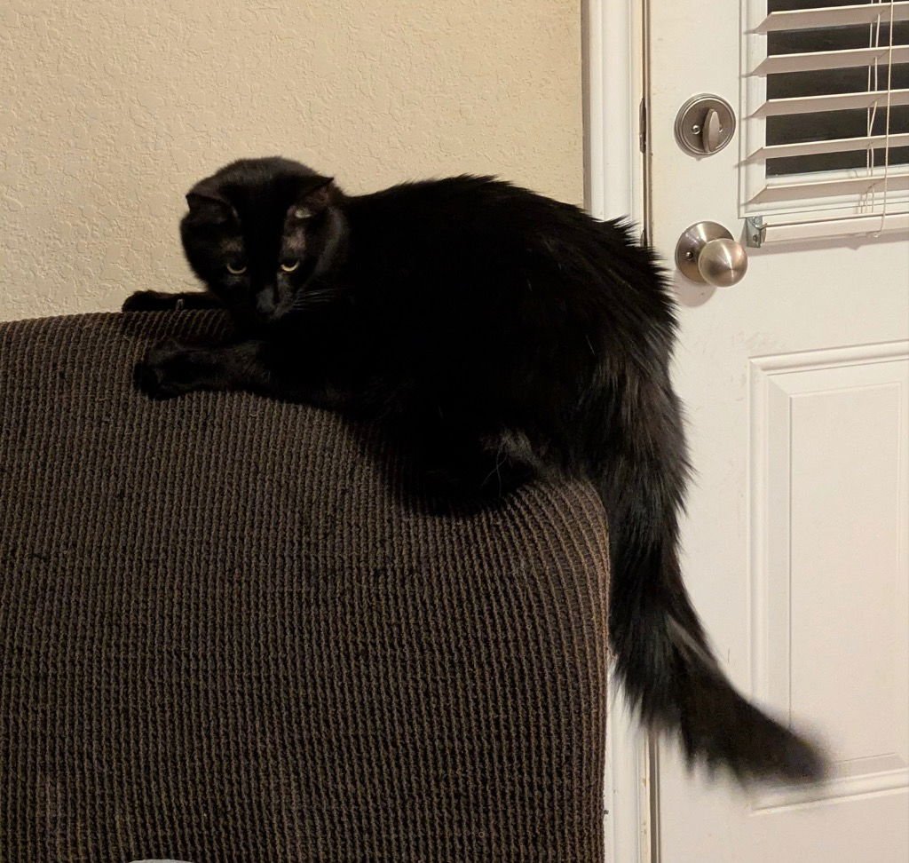 Joan D'Arc - Photo 3