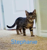 Stephanie - Photo 3