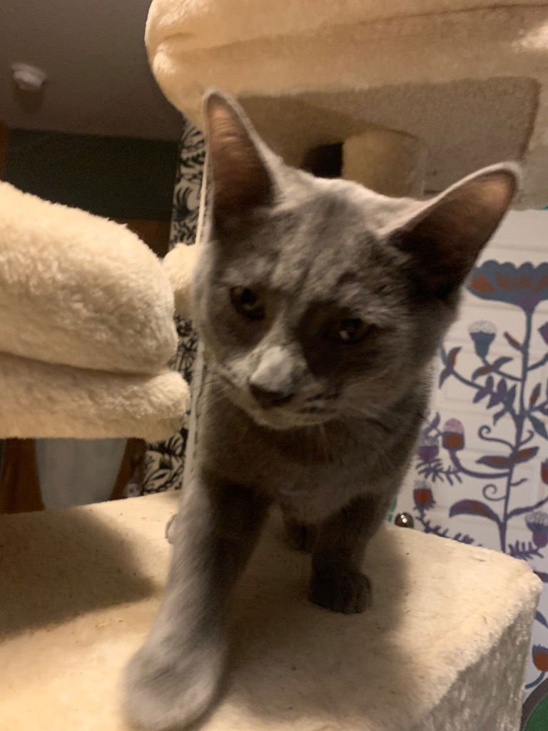 Dr. Pepper - Photo 3