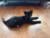 Twix - Photo 3