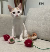 Kiki Girl - Photo 1