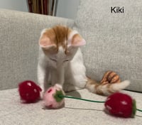 Kiki Girl - Photo 3