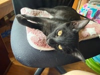 Poco - Photo 2
