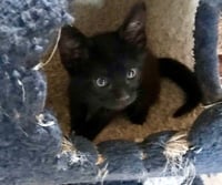 Morgan - Photo 1