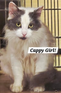Cappy Girl - Photo 1