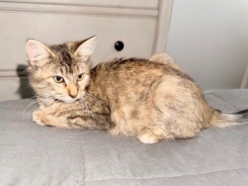 Pretty Girl - Photo 3