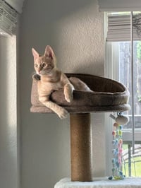 Duncan - Photo 4