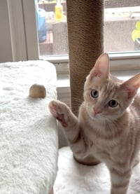 Duncan - Photo 3