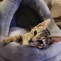 Timmy - Photo 4