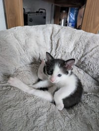 Grandpa - Photo 1