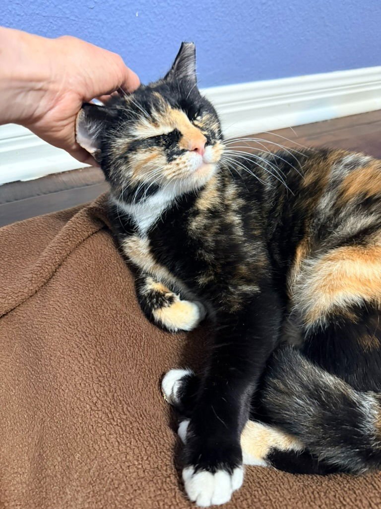 Princess Peaches - Photo 3