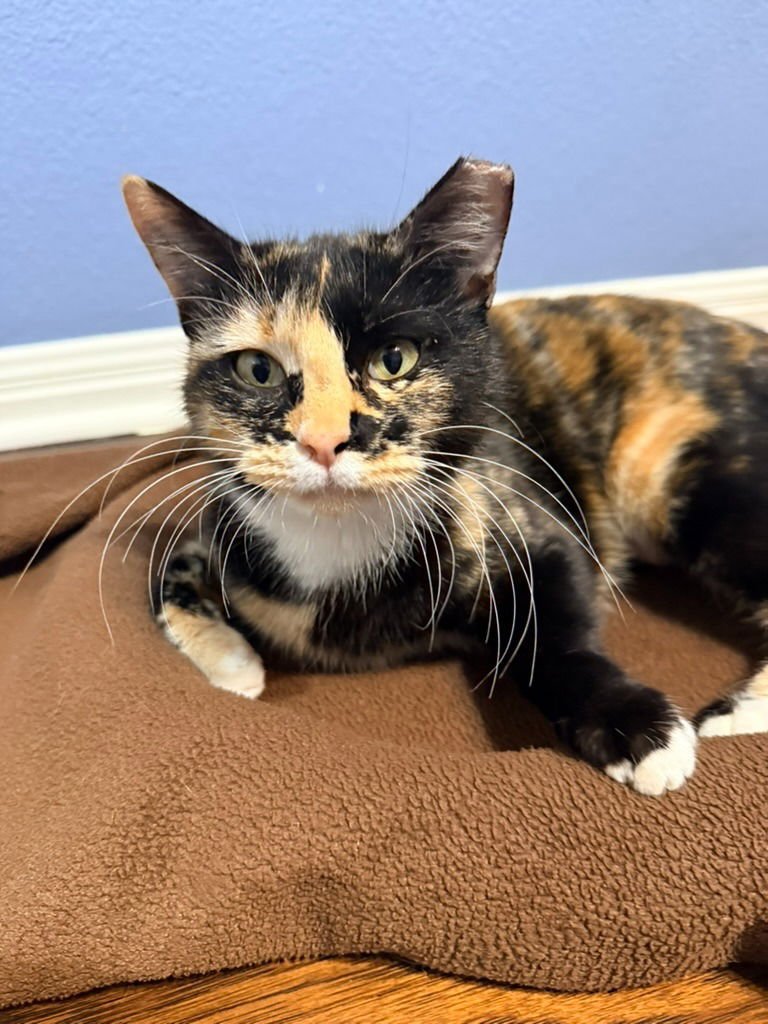 Princess Peaches - Photo 4