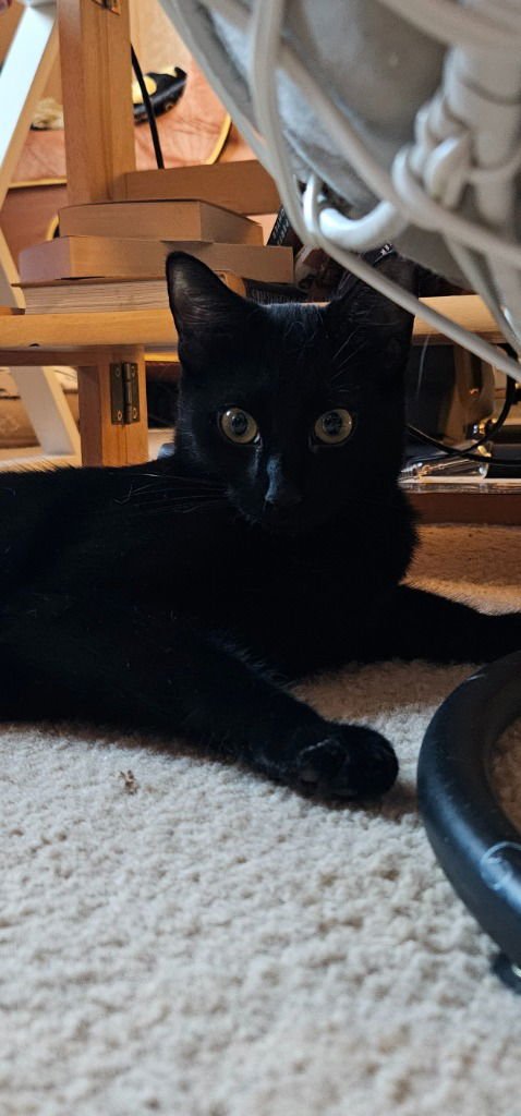 Cinderella - Photo 3