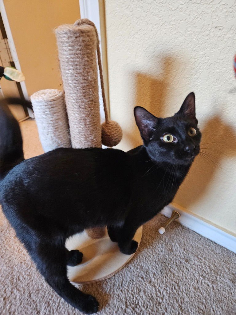 Cinderella - Photo 4