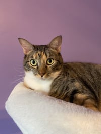 Mama Coco - Photo 1