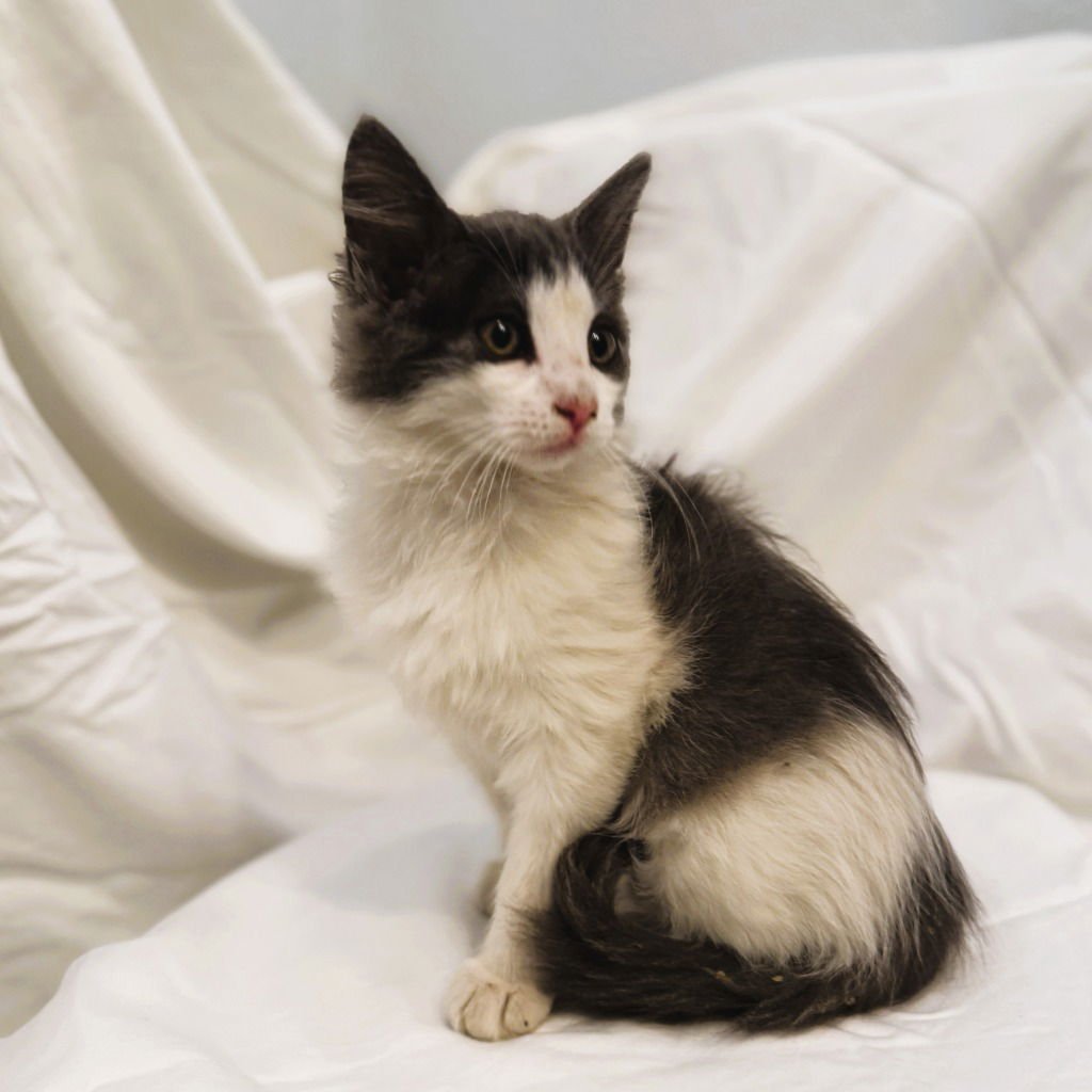 Cloudy Dumpling - Photo 3