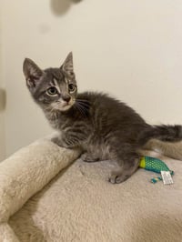 Micah - Photo 2