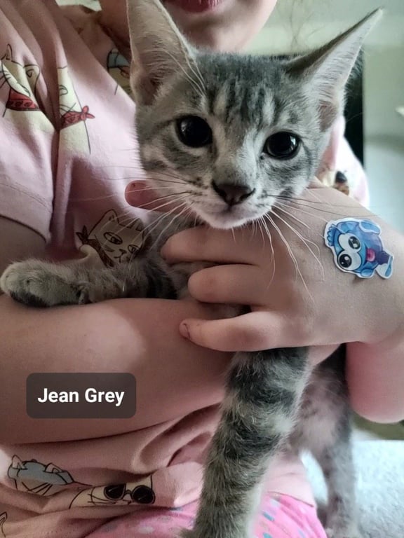 Jean Gray Image