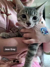 Jean Gray - Photo 1