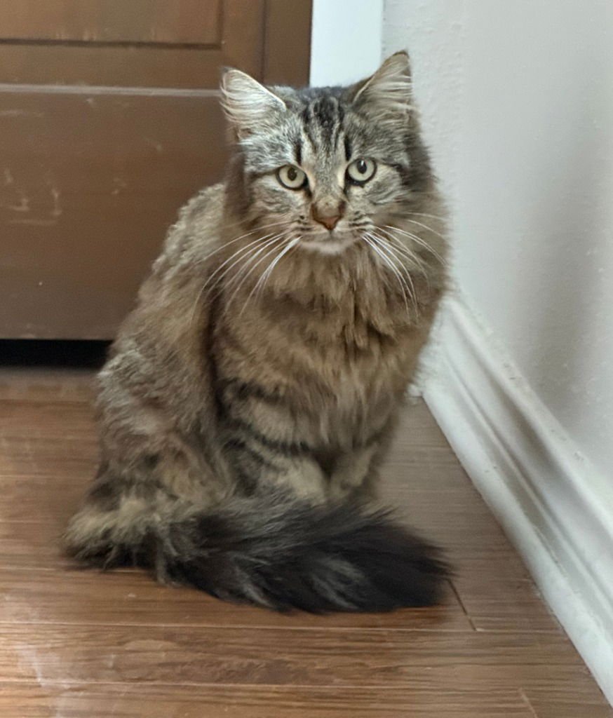 Mrs. Fuzzy - Photo 3