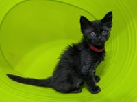 Jilly - Photo 4