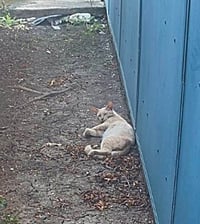 Fred - Photo 4