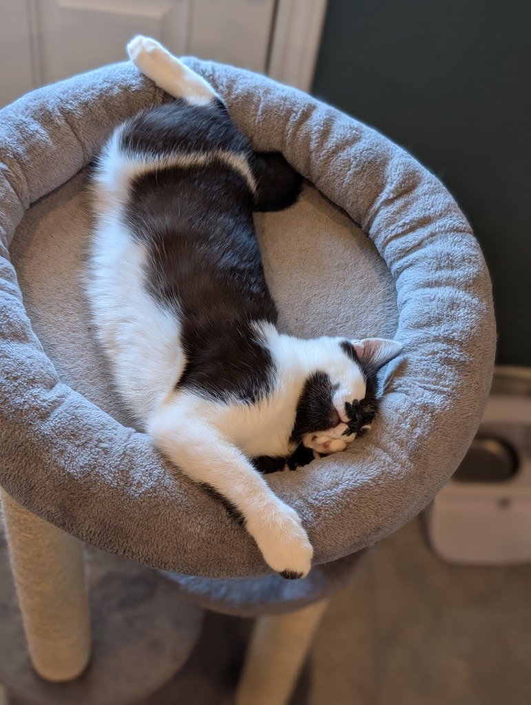 Dr. Rorschach - Photo 3