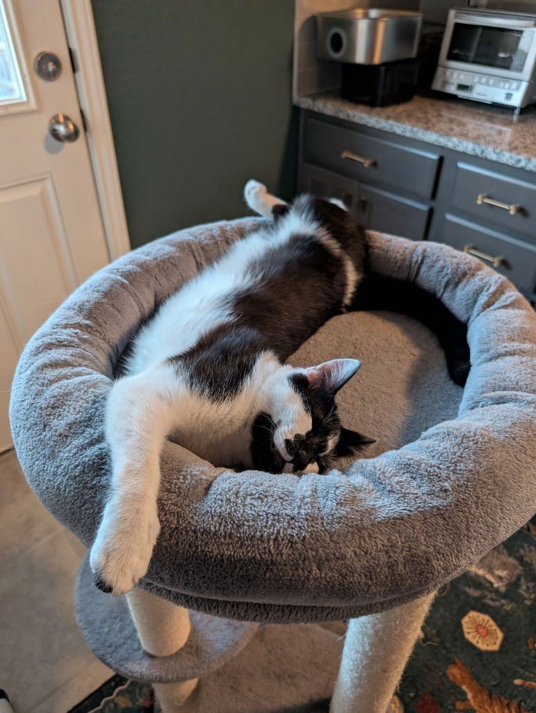 Dr. Rorschach - Photo 4