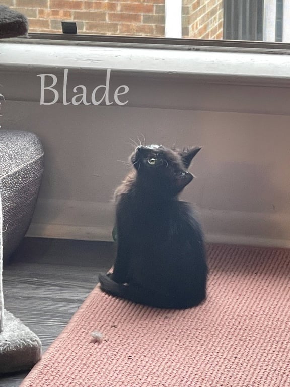 Maddie Image
