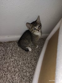 Mazzy - Photo 2