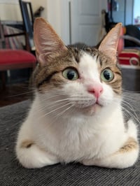Bagel Bite - Photo 4
