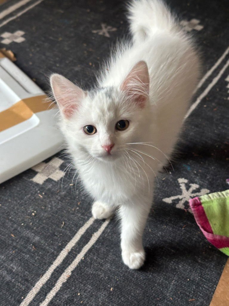 Taffy Lee Fubbins - Photo 3