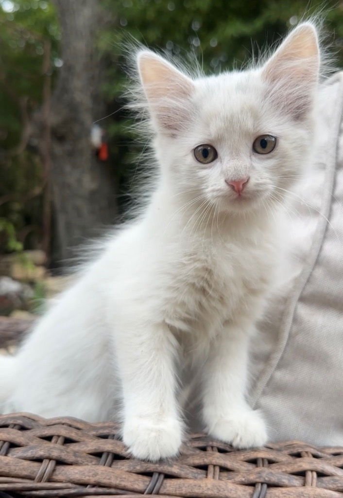 Taffy Lee Fubbins - Photo 4